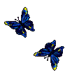 576i5y9u.gif