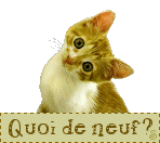 j0wg91fo.gif