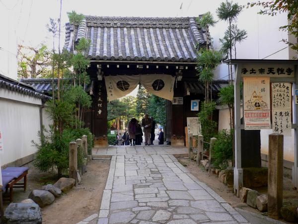 P1050159.JPG