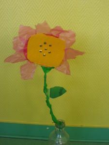 IMG-4277.jpg