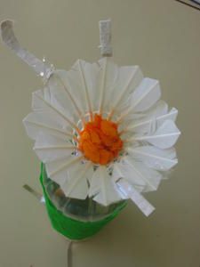 IMG-4290.jpg