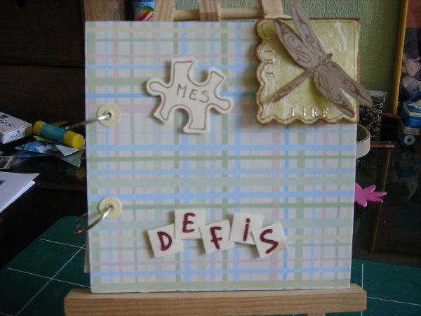 mesd--fis1.JPG