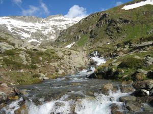 IMG-0738.jpg