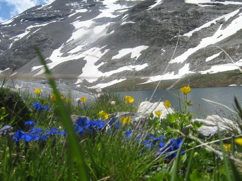 IMG-0897.jpg