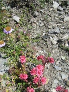 IMG-1201.jpg