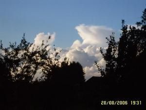 brouillon-copie-19.JPG