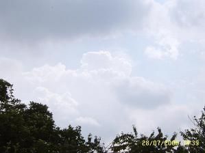 brouillon-copie-4.JPG