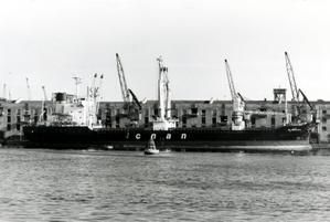 biskra.jpg
