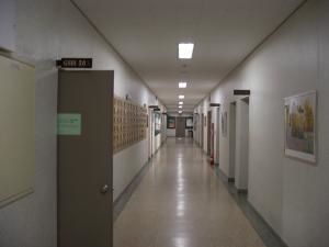 CIMG7703.jpg