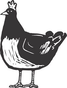 poulet---achicken.jpg