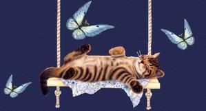 chat-bleu-couch-.jpg