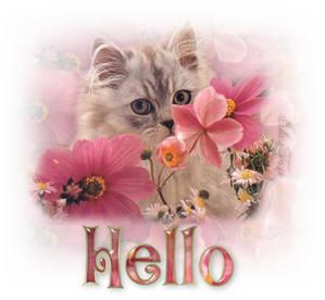 hello.jpg