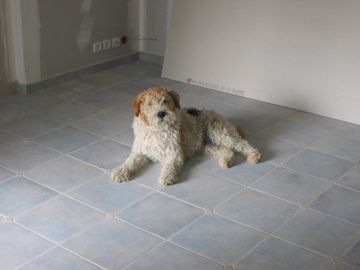 IMG-4330.jpg