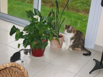 IMG-4362.jpg