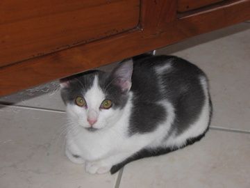 IMG-4365.jpg