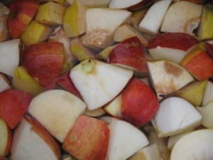 IMG-4467.jpg