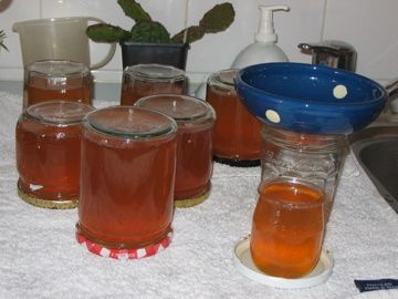 IMG-4470.jpg