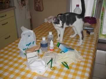 IMG-4631.jpg