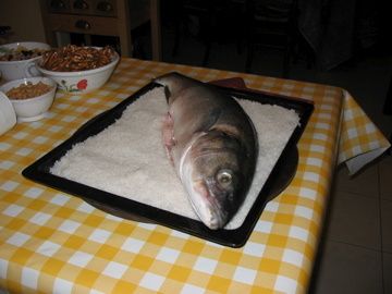 IMG-4643.jpg