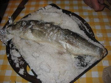 IMG-4673.jpg