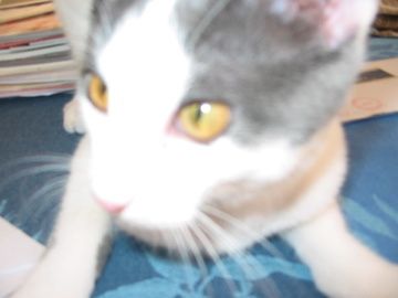 IMG-4803.jpg