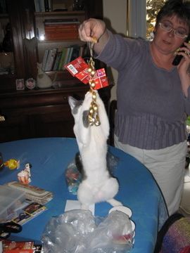 IMG-4807.jpg