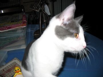 IMG-4829.jpg