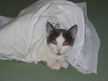IMG-5026.jpg