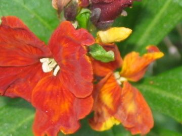 IMG_6020.jpg