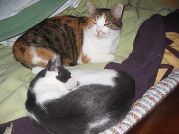IMG-5355.jpg