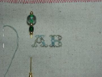 IMG-5428.jpg
