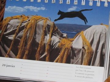 IMG_5659.jpg