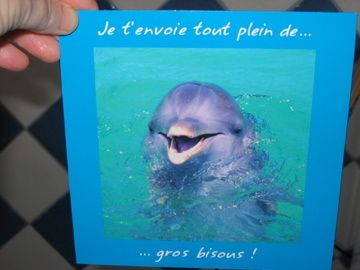 IMG_6091.jpg