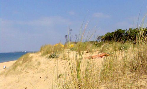 bonnes rencontres