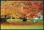 images-copie-2.jpg