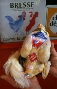 poulet01.jpg