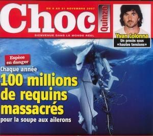 requins.jpg