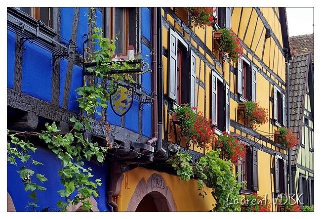Alsace - Riquewihr - 0005