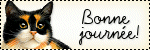 bonne-journ--e-chat.gif