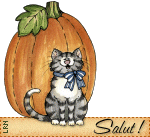 chat-et-citrouille.gif