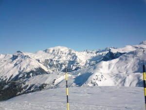 Morillon--15-.JPG