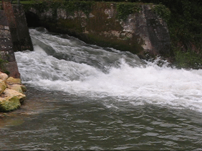 ecluse de la boutonne, super spot a perche, sandre et brochet ecluse de la boutonne