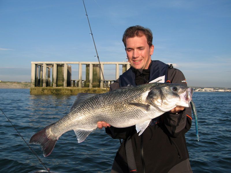 le sand eel fait ses premières grosses victimes, avec ici un 6 kilos pris en Manche par guillaume fourrier au Eel 22 cm guillaume, inventeur et utilisateur des leurres souples sakura