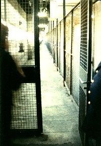 grille-surveillant.jpg