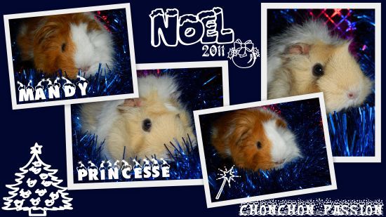 mandy-princesse-noel2011-blog.jpg