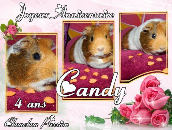Candy-4ans-chonchonpassion.jpg