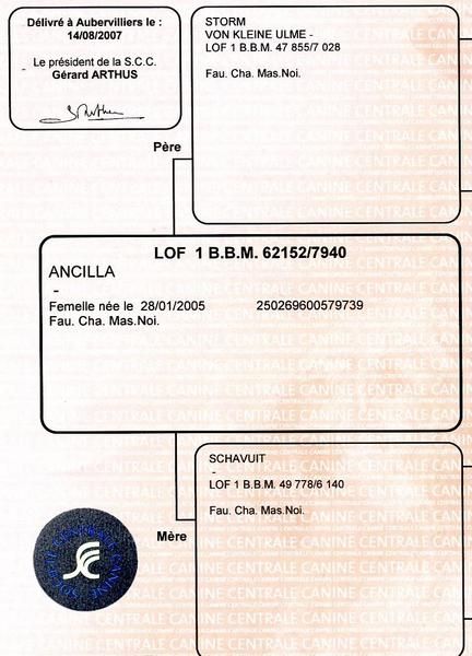 img.pedigree1.jpg