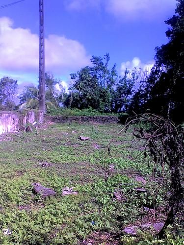 07-11-07-1422.jpg