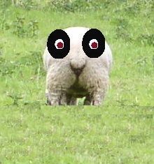 3. cétindahu !