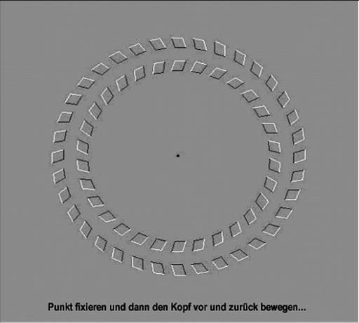Illusions-6.JPG